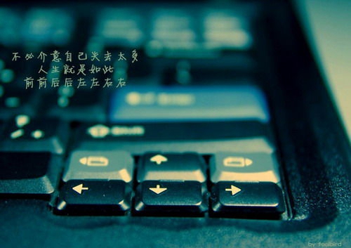 古典舞《香赞》 刘斌舞蹈口令分解动作教学演示