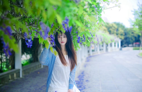 阿真广场舞《又见山里红》编舞希凡口令分解动作教学