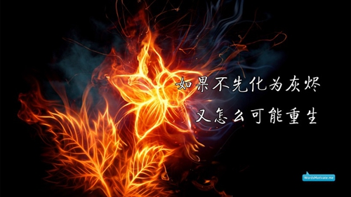 白固舞出魅力原创《紫玫瑰》完整版广场舞