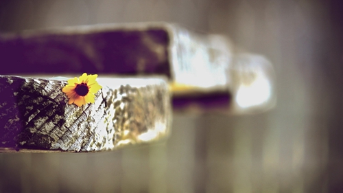 80后燕子一晃老了广场舞，雪山阿佳藏族广场舞附教学