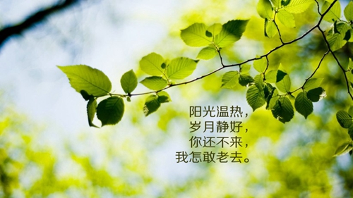 环广场舞红红的中国正背面演示及慢速口令教学