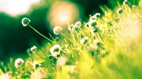 太阳花舞之悦广场舞《别嘚瑟》正背面演示及慢速口令教学