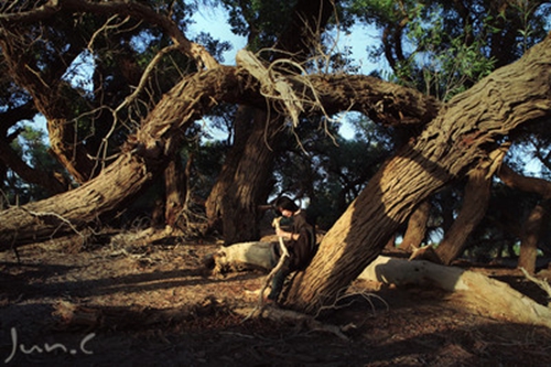 心悦广场舞《独一无二》正反面演示及分解动作教学