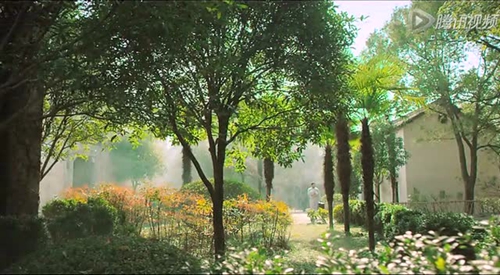 梅桂广场舞《春天蝴蝶飞》口令分解动作教学