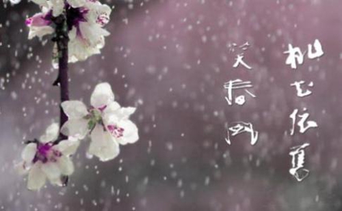 美裳《蓝色的忧郁》完整版广场舞