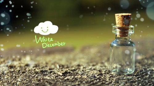 路路广场舞《潇洒人生》  编舞：青儿口令分解动作教学