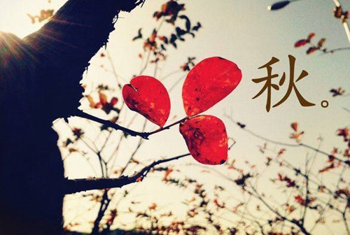 潍坊馨雨广场舞