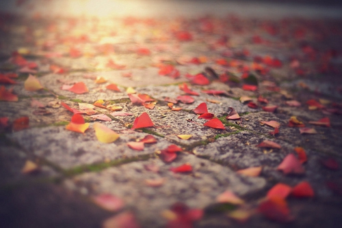 织里果果广场舞