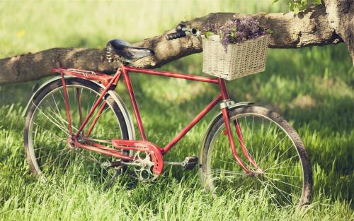 一缕青兰广场舞教程（一缕红 舞蹈），一缕缕青烟是什么歌的歌词