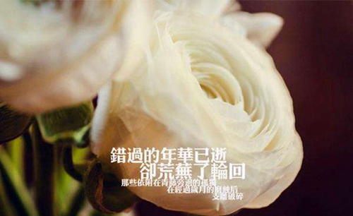 快四广场舞歌曲大全，快四步广场舞