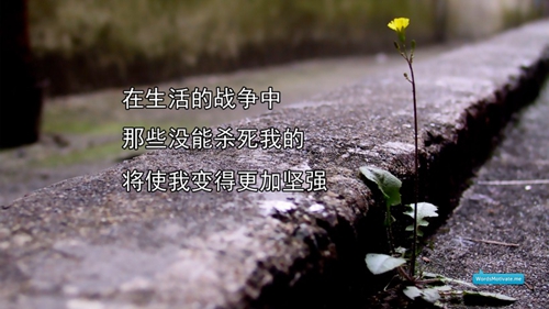 自己爱自己广场舞dj版歌曲完整版，爱自己mv