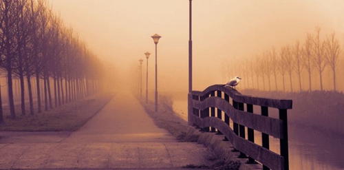 杨丽萍老师广场舞教学大全（广场舞视频），杨丽萍广场舞全部视频教学