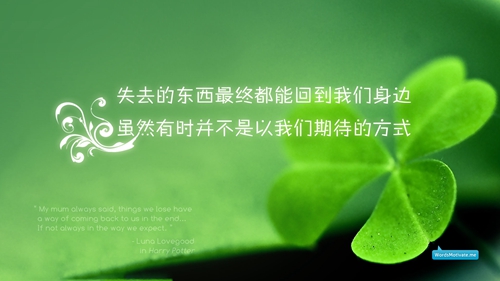 有雁飞动作的广场舞吗，有雁飞动作的广场舞吗图片