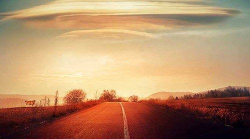 杨丽萍本人糖豆广场舞全部（8步广场舞视频），杨丽萍广场舞分解动作