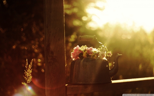 原野明珠广场舞