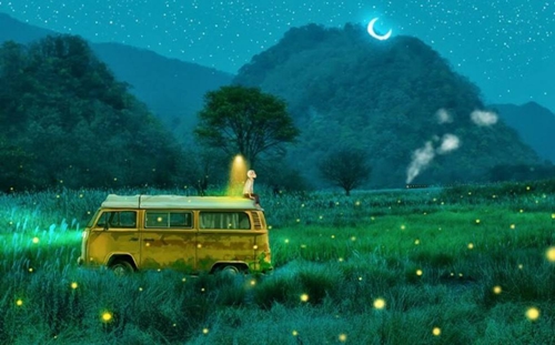 爱的期限广场舞