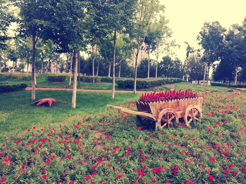 草原痴情郎广场舞