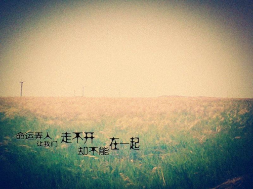 今生最美的遇见广场舞