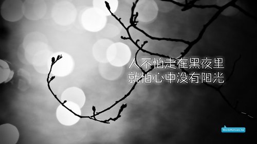 寂寞的牛角琴广场舞