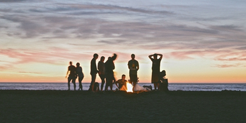 鲨鱼鲨鱼广场舞